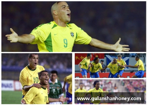 重温巴西世界杯：全面回放解析足球巨星的辉煌历程